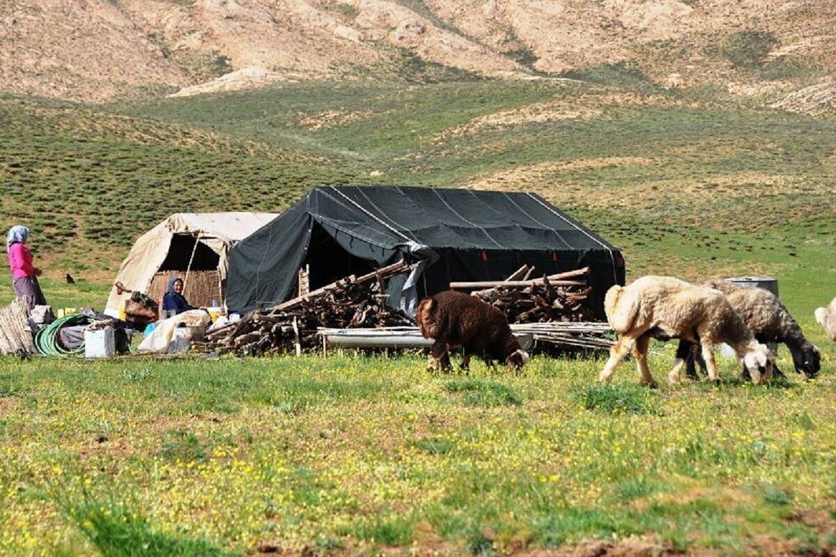 زیرساخت‌های آب و انرژی عشایر شاهرود در مسیر تقویت قرار گرفت