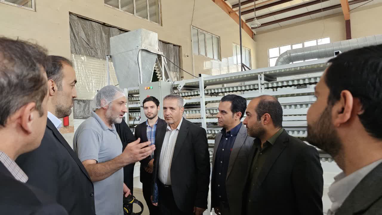 بازدید میدانی فرماندار قرچک از واحد‌های تولیدی/ تسریع در رفع موانع تولید