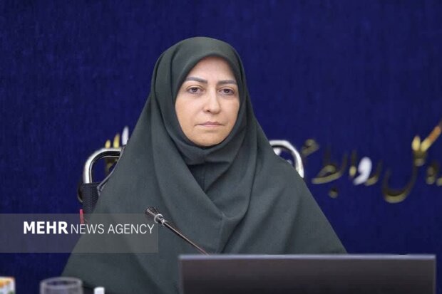 انصاری: پیشگیری از آلودگی، مهم‌تر از پاک‌سازی محیط زیست است