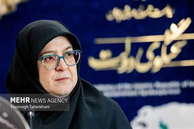 مهاجرانی: برق نیروگاه‌های تازه تاسیس به صنایع اختصاص می‌یابد